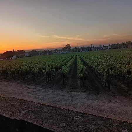 Casa De Sao Pedro Сasa de vacaciones *